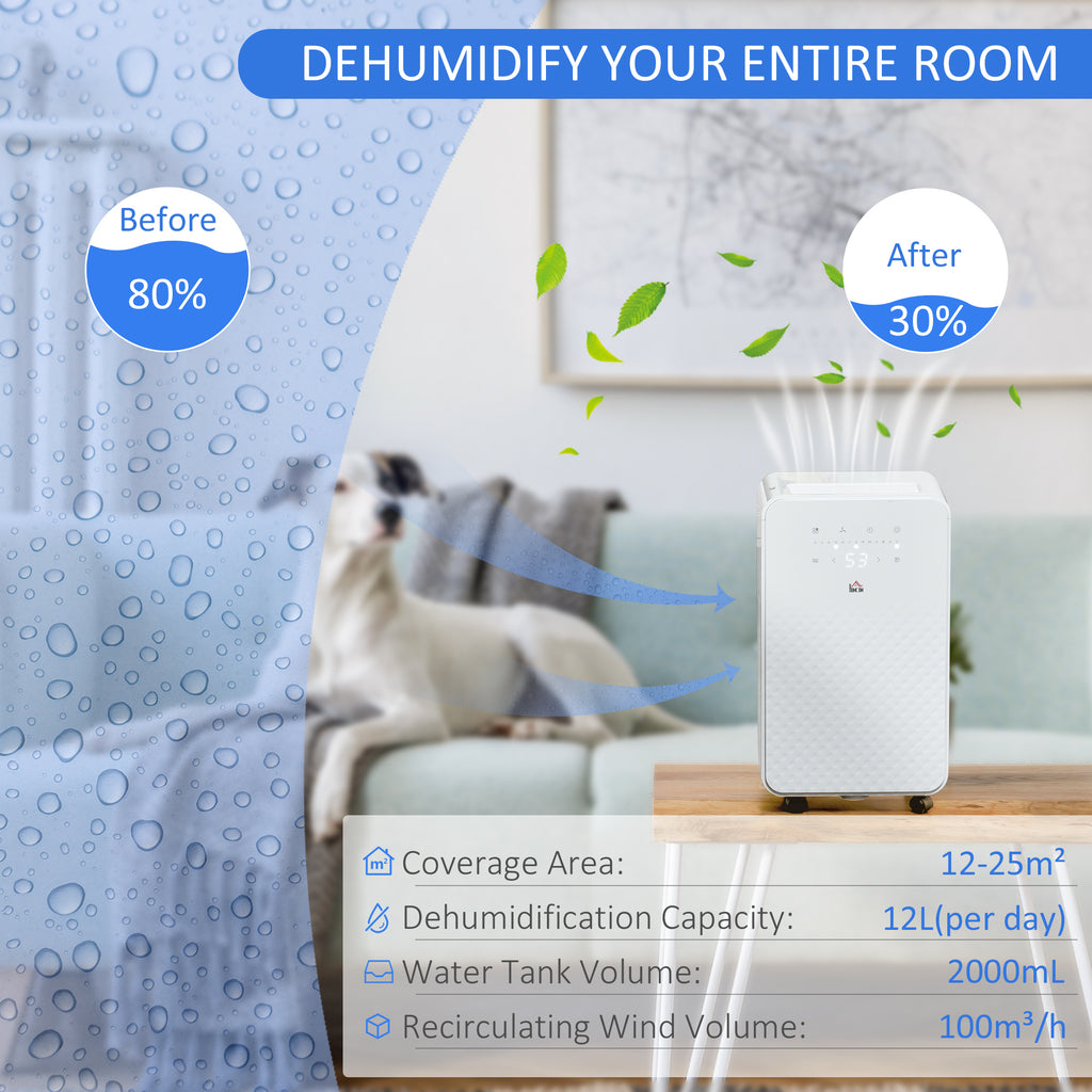 2L Dehumidifier and Air Filter, 24H Timer for Home Laundry Basement