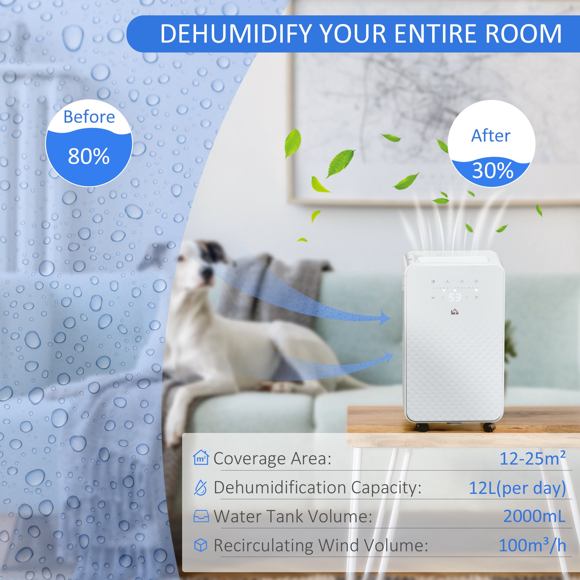 2L Dehumidifier and Air Filter, 24H Timer for Home Laundry Basement