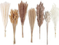 Dried Pampas Decoration, 128 Pieces Pampas with Rabbit Tail Flowers, Reed Bouquet for Wedding, Bohemian Flowers, Home Table Decoration, Rustic Farmhouse Party
