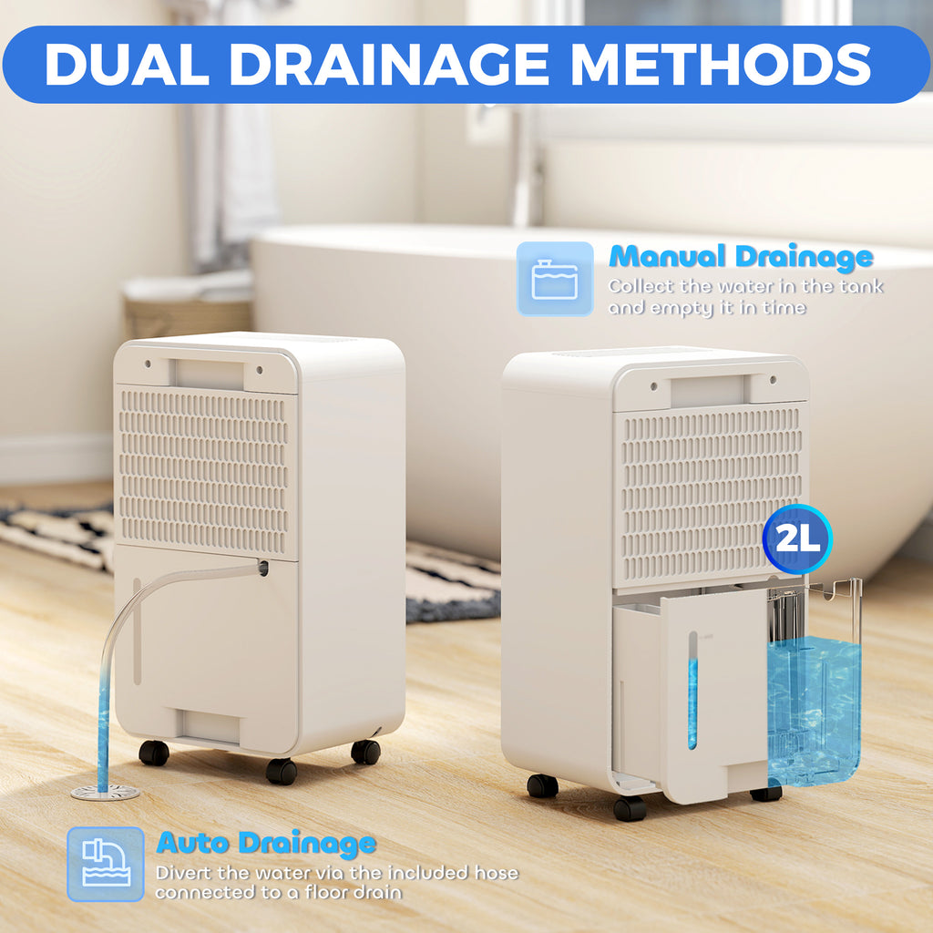 2L Dehumidifier and Air Filter, 24H Timer for Home Laundry Basement